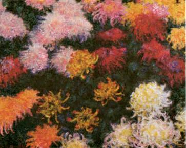 Claude Monet Chrysanthemums  sd China oil painting art